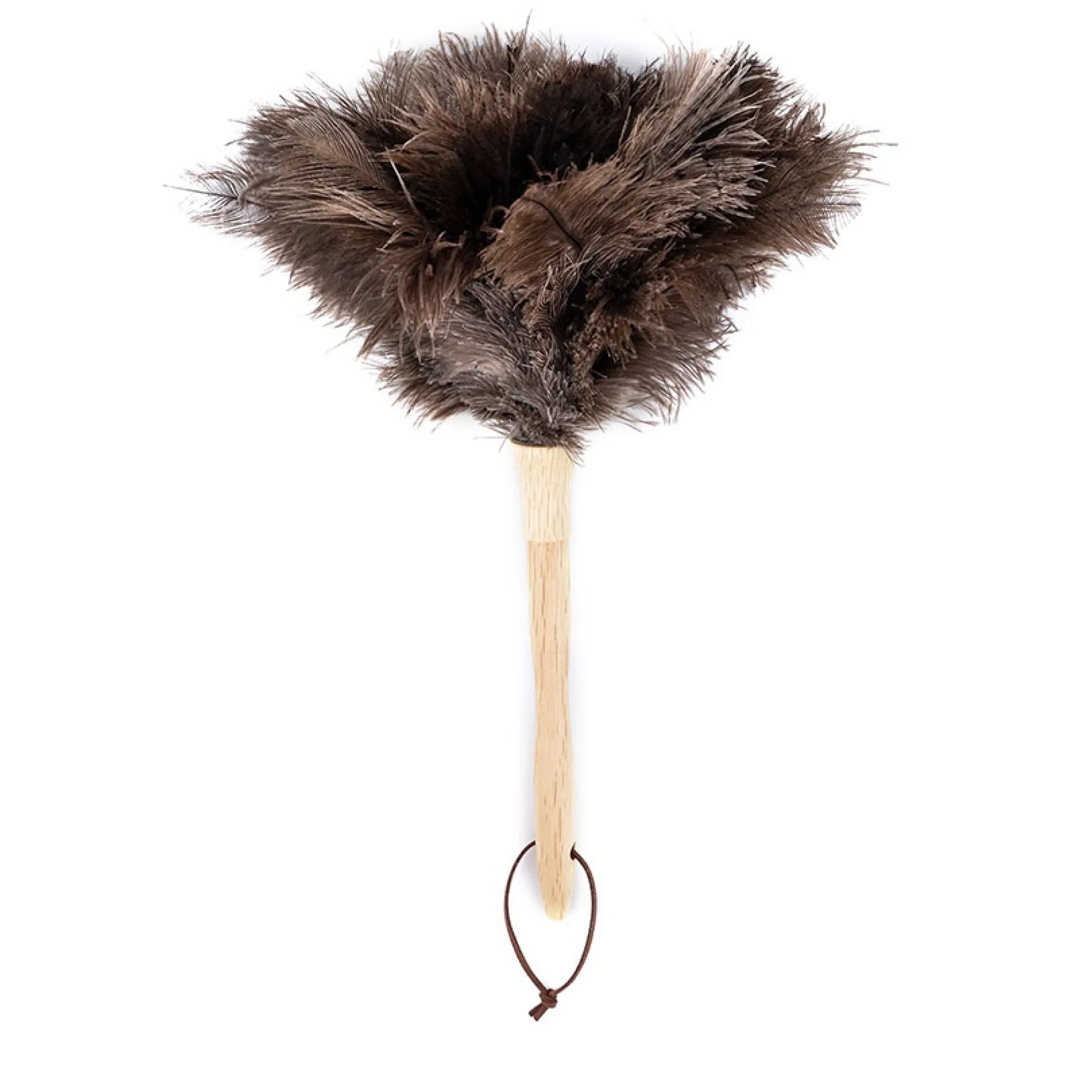 Non Static Dust Duster Dust Artifact Ostrich Feather Duster Ostrich Feather Duster Feather Duster Lazada Singapore