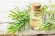 น้ำมันหอมระเหย ทีทรีออยล์  Tea Tree oil  Essential Oil, ทีทรีออยล์. 