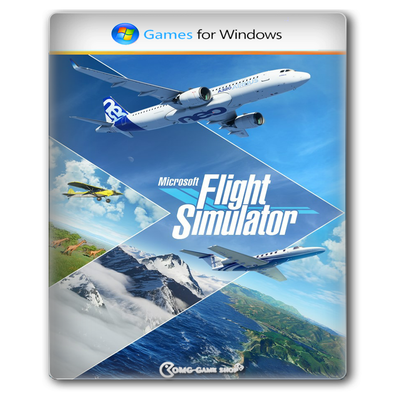 game flight simulator