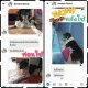 Dog Detox แชมพูลดกลิ่นตัว ลดคัน เชื้อรา ใช้ใด้ทั้งสุนัขและแมว. 