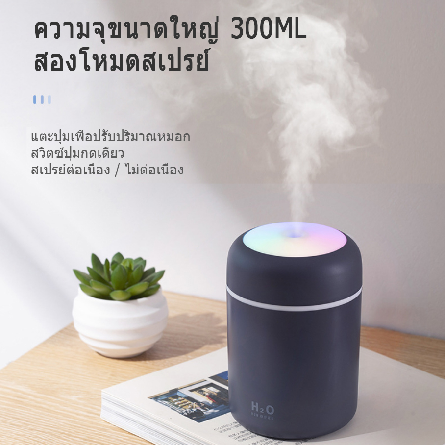 แบบพกพา