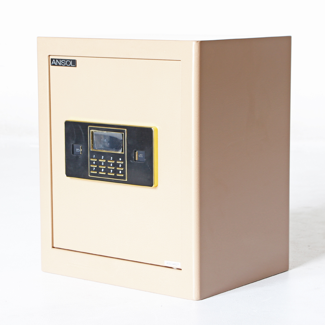 fire proof safes or lock box