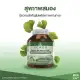 Ginkgo Biloba Extract ใบแปะก๊วย สกัด จิงโกะ สูตรเข้มข้น อาหารเสริม 30 แคปซูล ของแท้100%. 