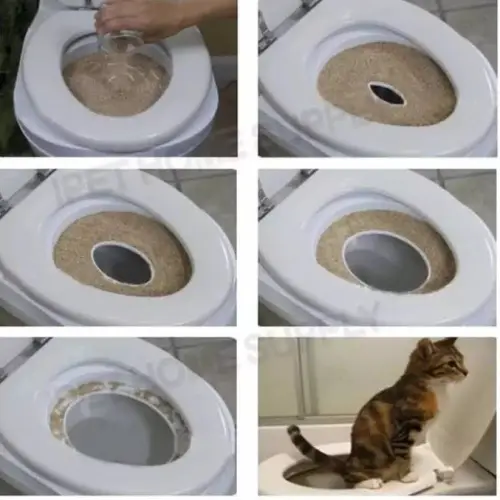 Deemar  อุปกรณ์ฝึกแมวเข้าส้วม ฝึกแมวเข้าห้องน้ำ5324-SE