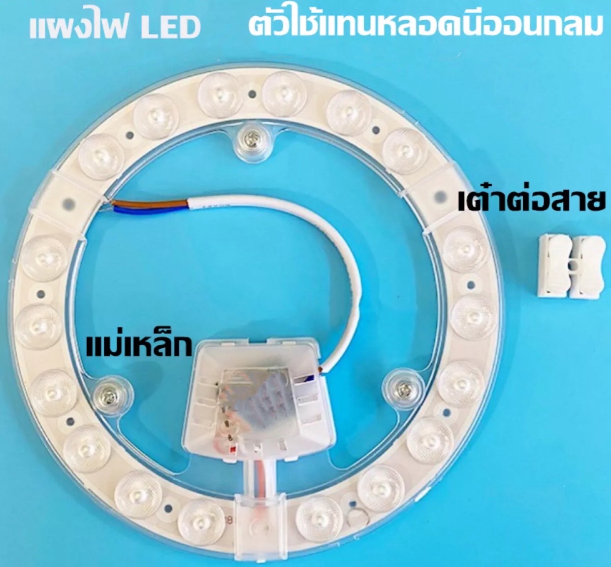 แสงสีขาว/วอร์ม