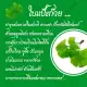 Ginkgo Biloba Extract ใบแปะก๊วย สกัด จิงโกะ สูตรเข้มข้น อาหารเสริม 30 แคปซูล ของแท้100%. 