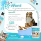 Dog Detox แชมพูลดกลิ่นตัว ลดคัน เชื้อรา ใช้ใด้ทั้งสุนัขและแมว. 