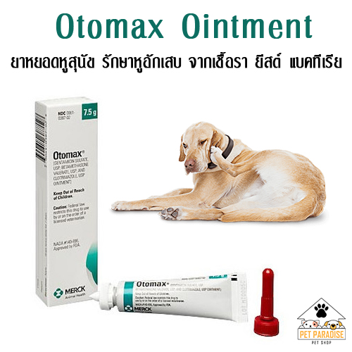 what is otomax used for