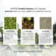 SKIN1004 Madagascar Centella Air-Fit Suncream Plus 50 ml. 