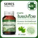 Ginkgo Biloba Extract ใบแปะก๊วย สกัด จิงโกะ สูตรเข้มข้น อาหารเสริม 30 แคปซูล ของแท้100%. 