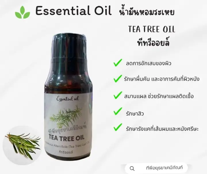 น้ำมันหอมระเหย ทีทรีออยล์  Tea Tree oil  Essential Oil, ทีทรีออยล์