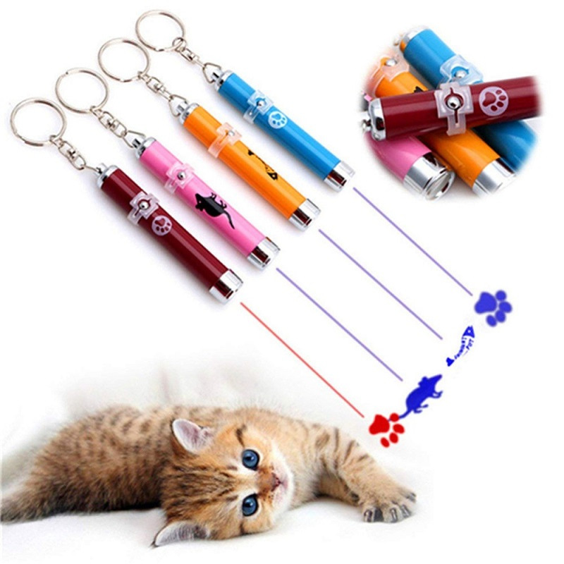 Cat Play Cat LED Laser Pointer Toy With Bright Fish Animation For Endless Fun 