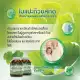Ginkgo Biloba Extract ใบแปะก๊วย สกัด จิงโกะ สูตรเข้มข้น อาหารเสริม 30 แคปซูล ของแท้100%. 