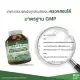 Ginkgo Biloba Extract ใบแปะก๊วย สกัด จิงโกะ สูตรเข้มข้น อาหารเสริม 30 แคปซูล ของแท้100%. 