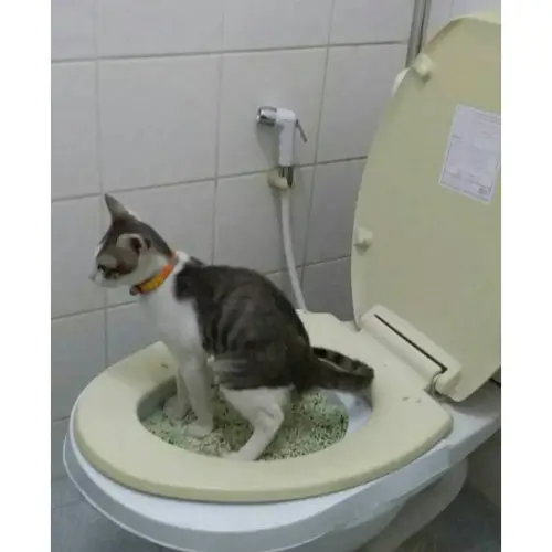 Deemar  อุปกรณ์ฝึกแมวเข้าส้วม ฝึกแมวเข้าห้องน้ำ5324-SE
