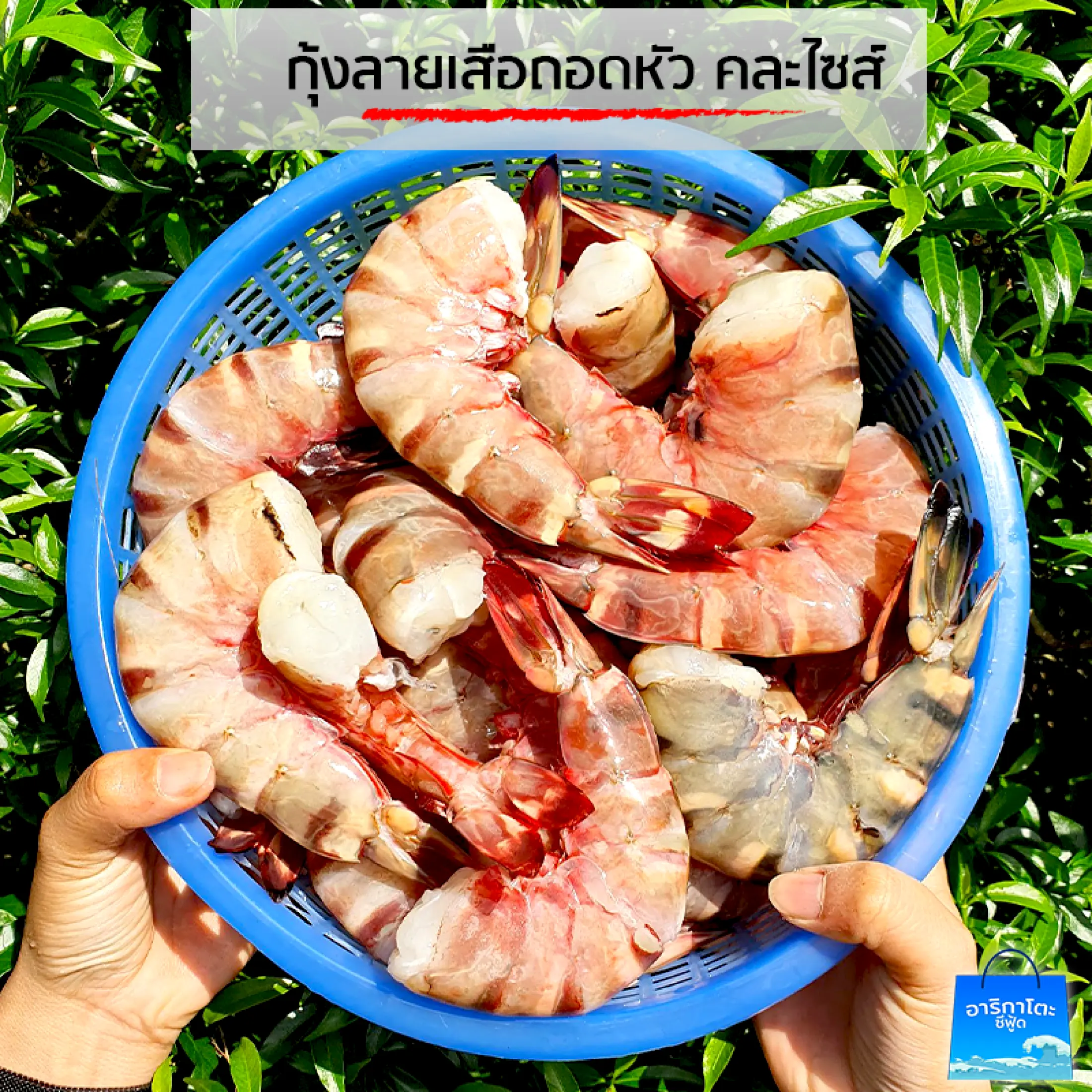 ส งฟร ก งลายเส อเด ดห ว เน อล วนๆ1แพ ค Lazada Co Th