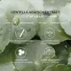 SKIN1004 Madagascar Centella Air-Fit Suncream Plus 50 ml. 